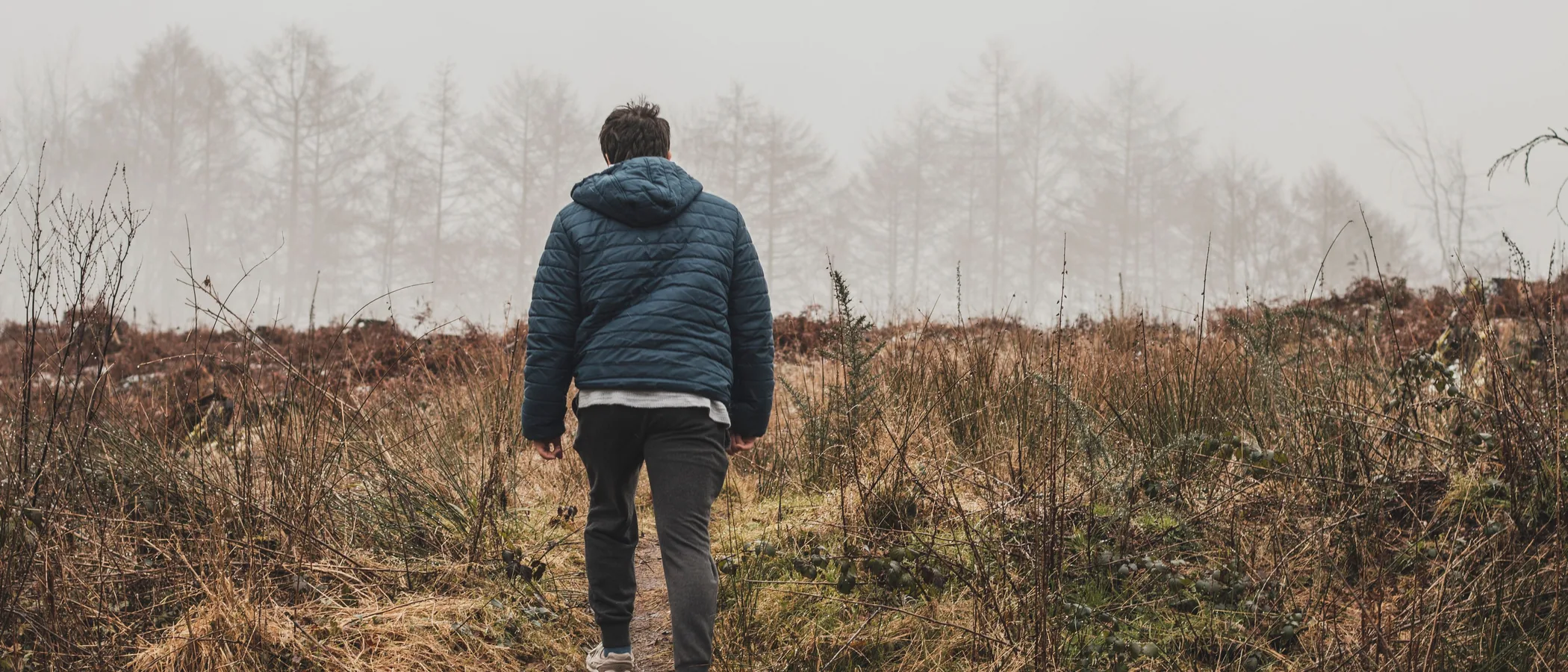Person walking away along a path through misty open heathland